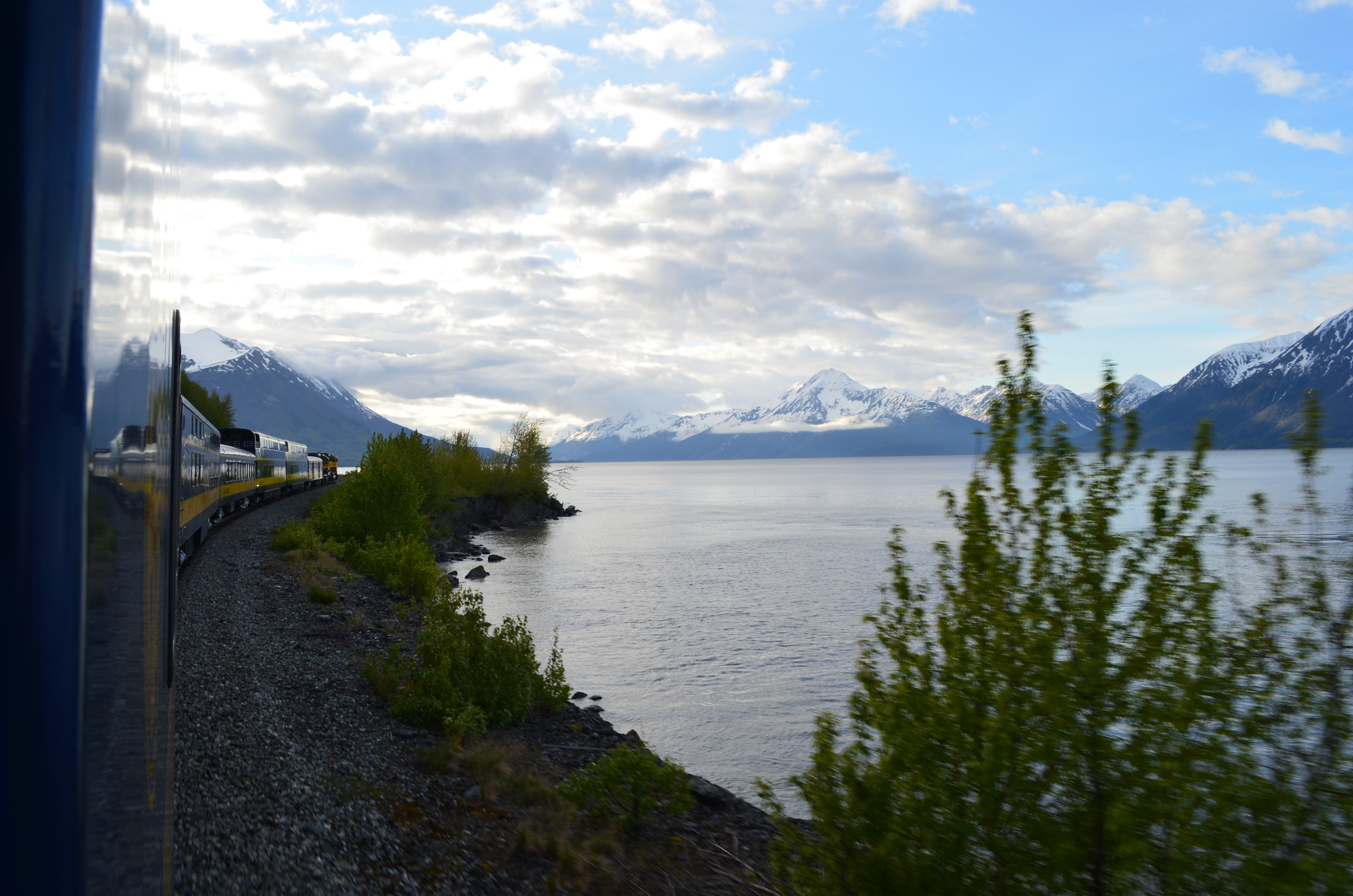 ./2017/08 - Alaska Cruise/05 - Train to Seward/DSC_0418.JPG